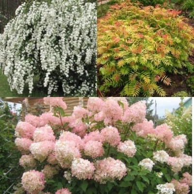 Комплект ФЕЙЕРВЕРК ЛЕТА в Уфе