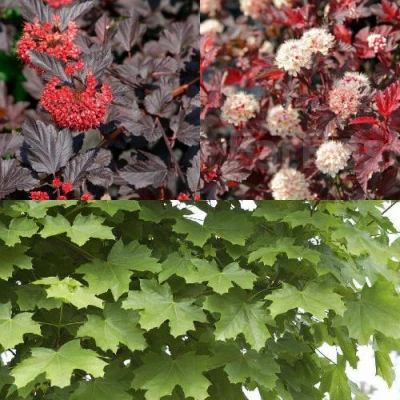 Комплект ОСЕННИЙ КОСТЕР в Уфе