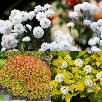 Комплект СОЛНЕЧНЫЙ МИКС в Уфе