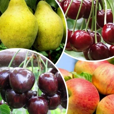 Комплект НАСЛАЖДЕНИЕ в Уфе