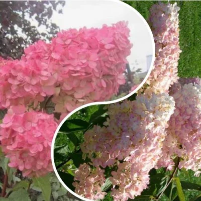 Комплект МНОГОГРАННОСТЬ в Уфе