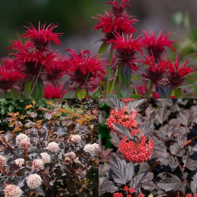 Комплект ОГНЕННЫЙ МИКС в Уфе