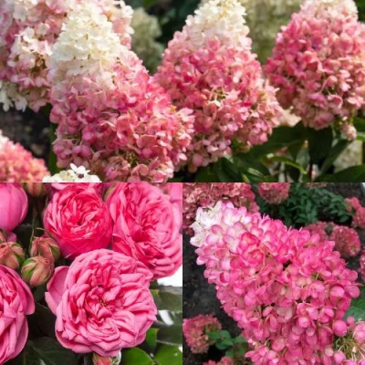 Комплект МАЛИНОВЫЙ ДЕСЕРТ в Уфе