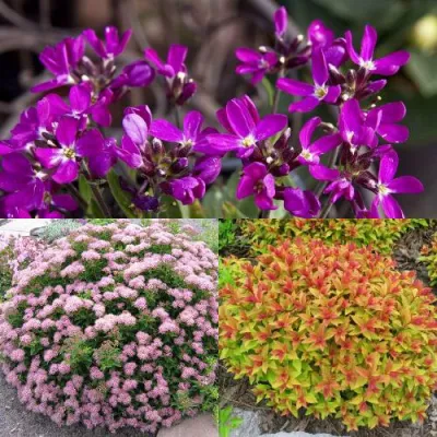 Комплект ЯПОНСКИЙ САД в Уфе