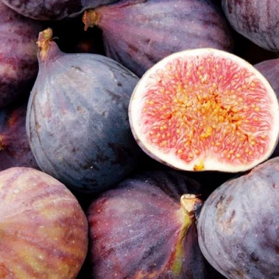 Инжир МУАССОН в Уфе