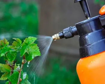 обработка крыжовника.png обработка крыжовника.png