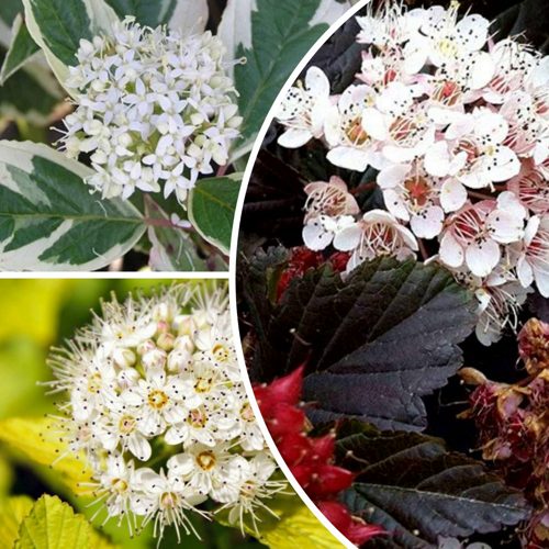 Комплект ЯРКАЯ ВСПЫШКА в Уфе