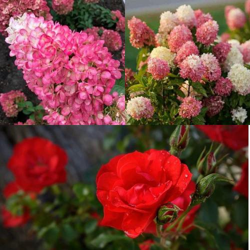 Комплект РОЗОВЫЙ ЗАКАТ в Уфе