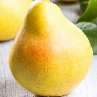 Желтая в Уфе