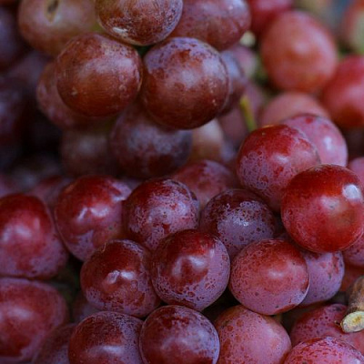 Красный в Уфе